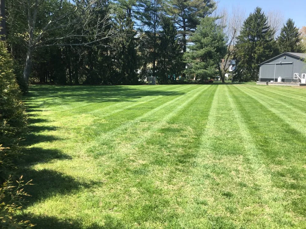 Reliable lawn mowing service in Hazel Green, AL by Divine Lines