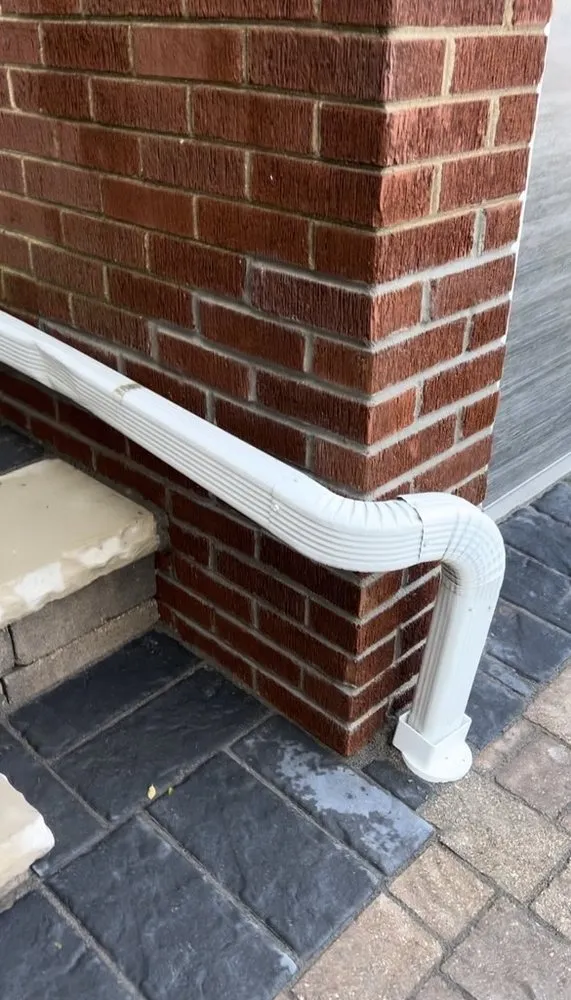 Local yard cleanup service experts serving Waukegan, IL - Divine Outdoor Services