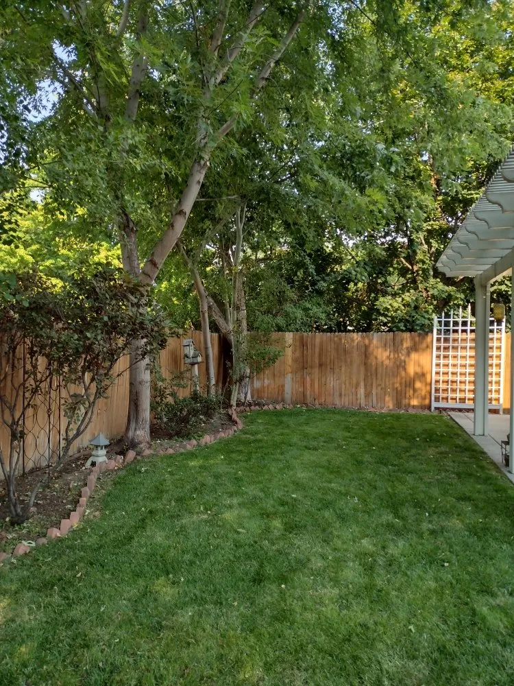 Affordable lawn mowing service for beautiful yards across Kalispell, MT - Divine Pine Property Care