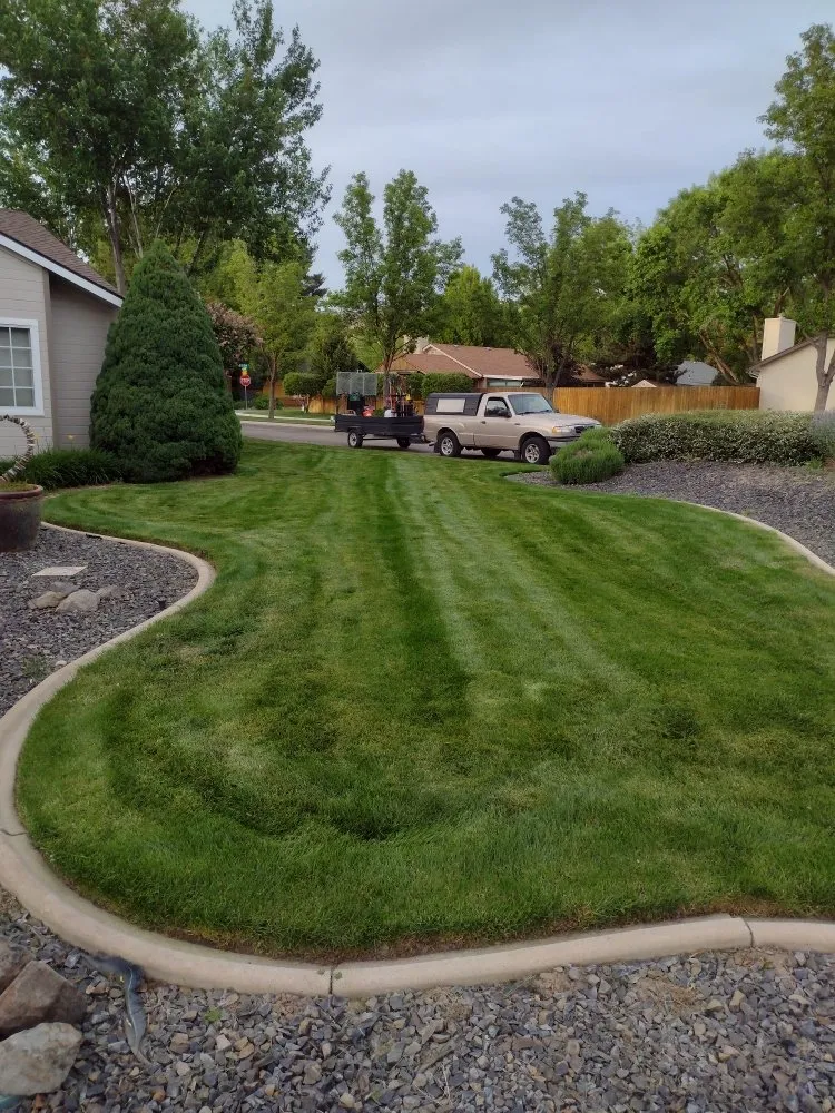Custom landscaping services experts serving Kalispell, MT - Divine Pine Property Care