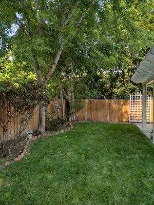 Divine Pine Property Care Logo