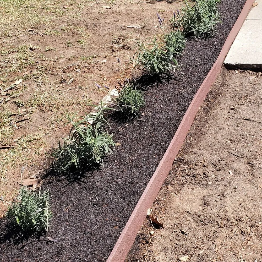 Trusted yard cleanup service in Lomita, CA - Divine Reflections