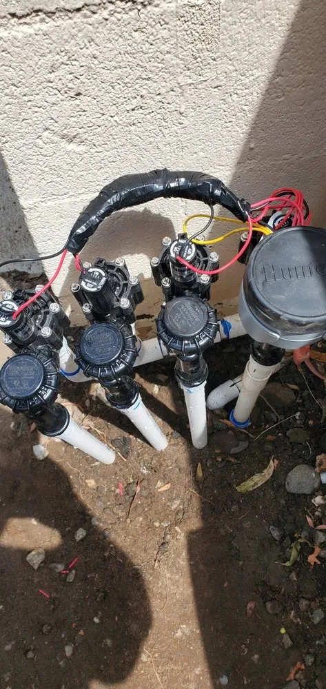 Local lawn care service for residential properties across Lomita, CA - Divine Reflections