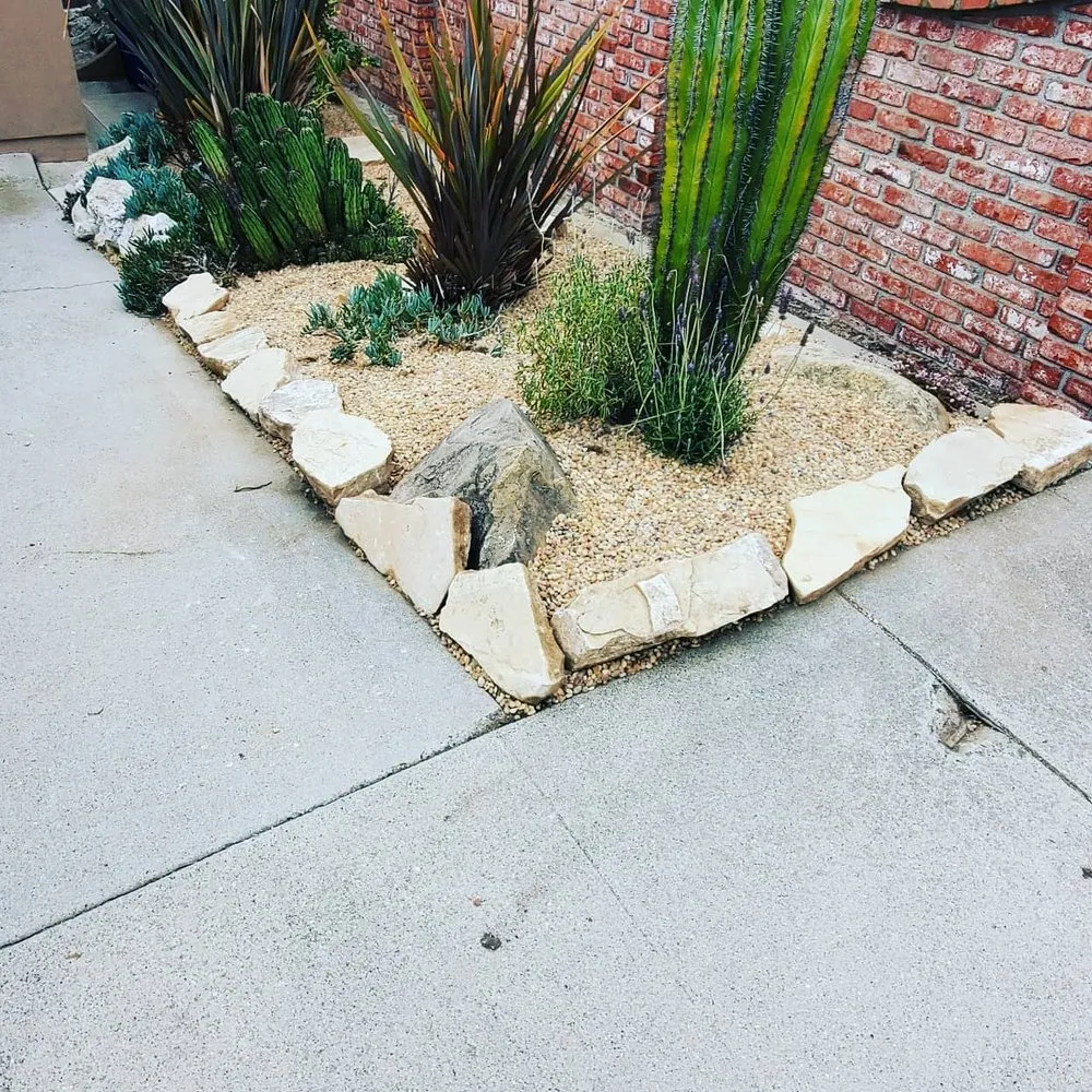 Reliable lawn mowing service in Lomita, CA - Divine Reflections