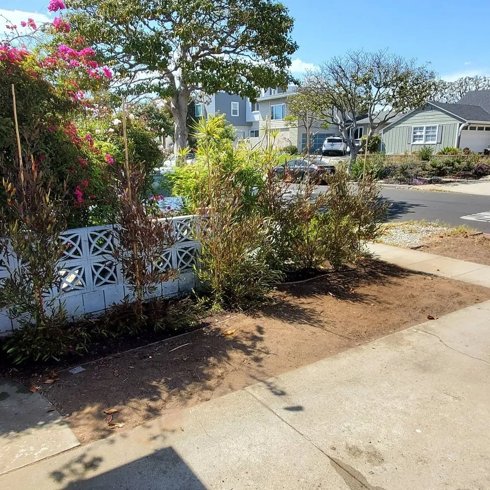 Trusted landscape installation in Lomita, CA - Divine Reflections