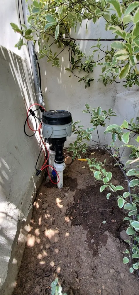 Professional lawn care service in Lomita, CA - Divine Reflections