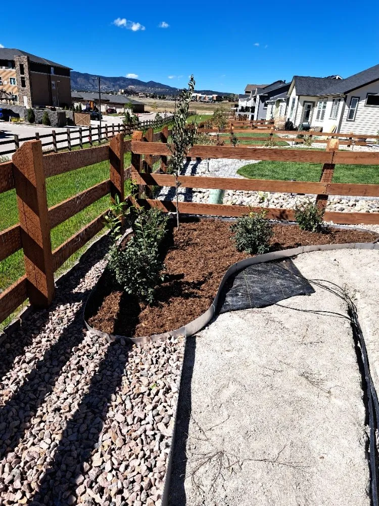 Professional yard maintenance experts serving Colorado Springs, CO - Divine Universal Service’s