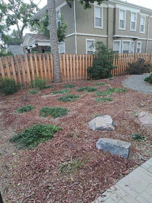 Top-rated landscaping services in Colorado Springs, CO - Divine Universal Service’s
