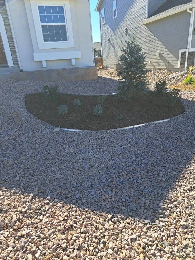 Expert yard cleanup service with custom design across Colorado Springs, CO - Divine Universal Service’s