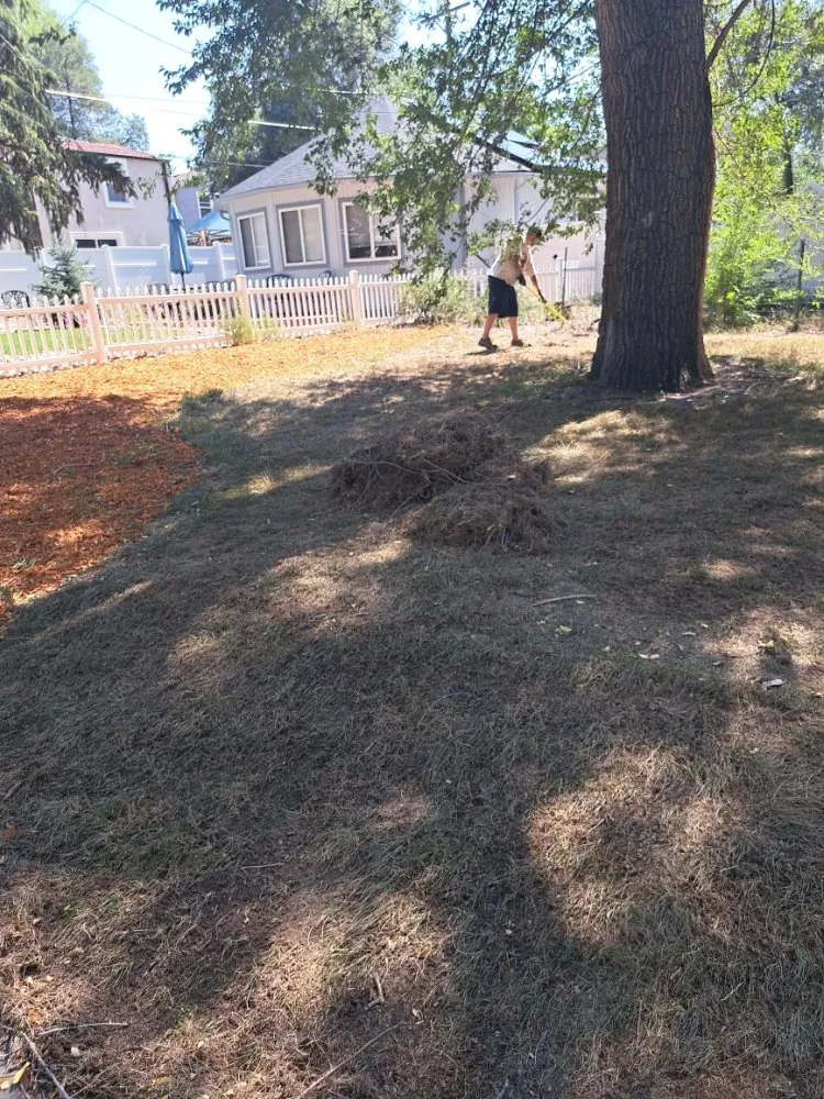 Top-rated residential landscaping experts serving Colorado Springs, CO - Divine Universal Service’s