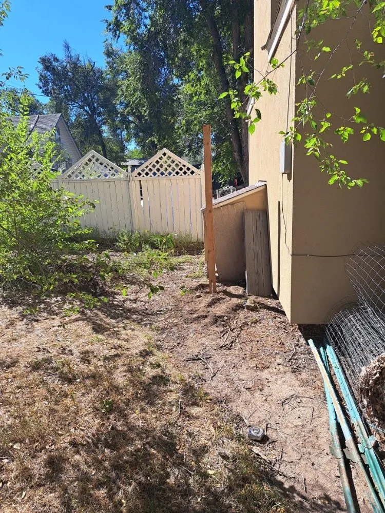 Trusted landscaping services in Colorado Springs, CO by Divine Universal Service’s