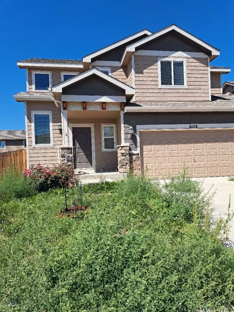 Trusted landscape design for homes in Colorado Springs, CO by Divine Universal Service’s