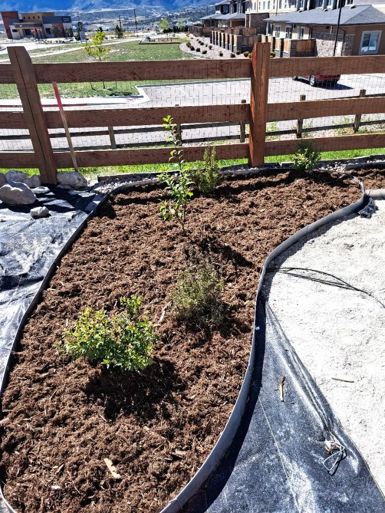 Local lawn care service experts serving Colorado Springs, CO - Divine Universal Service’s