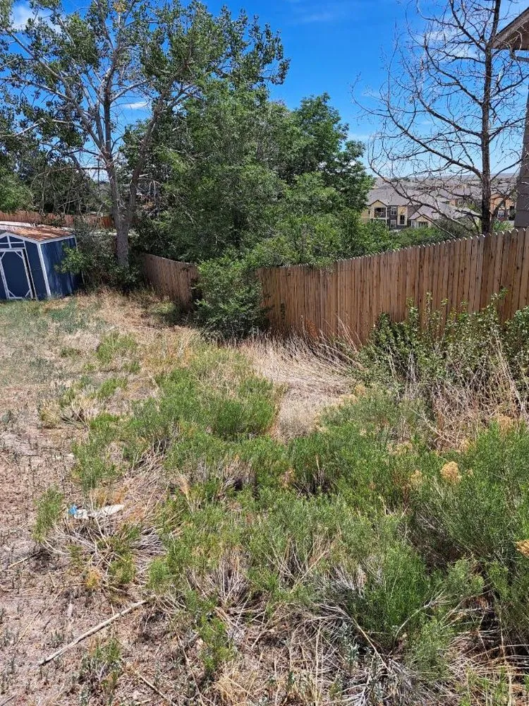 Trusted lawn mowing service with custom design across Colorado Springs, CO - Divine Universal Service’s