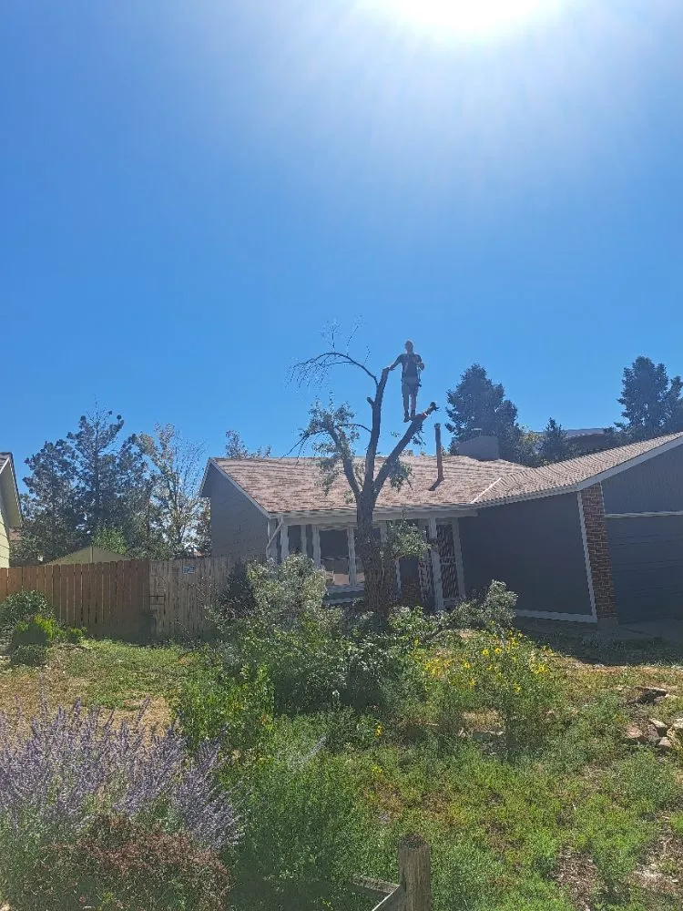 Professional landscape installation in Colorado Springs, CO by Divine Universal Service’s