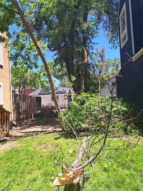 Reliable lawn care service in Colorado Springs, CO by Divine Universal Service’s