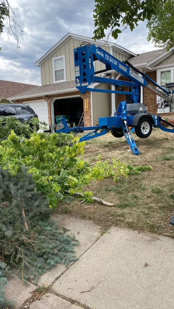 Affordable landscape design experts serving Colorado Springs, CO - Divine Universal Service’s