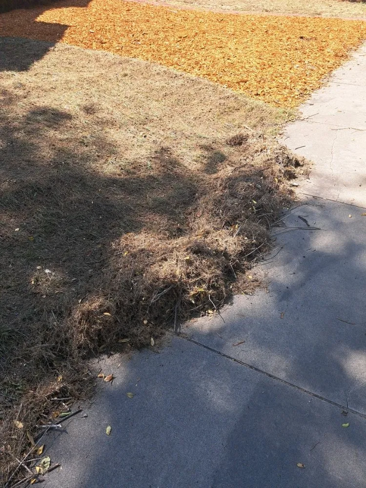 Top-rated landscaping services experts serving Colorado Springs, CO - Divine Universal Service’s