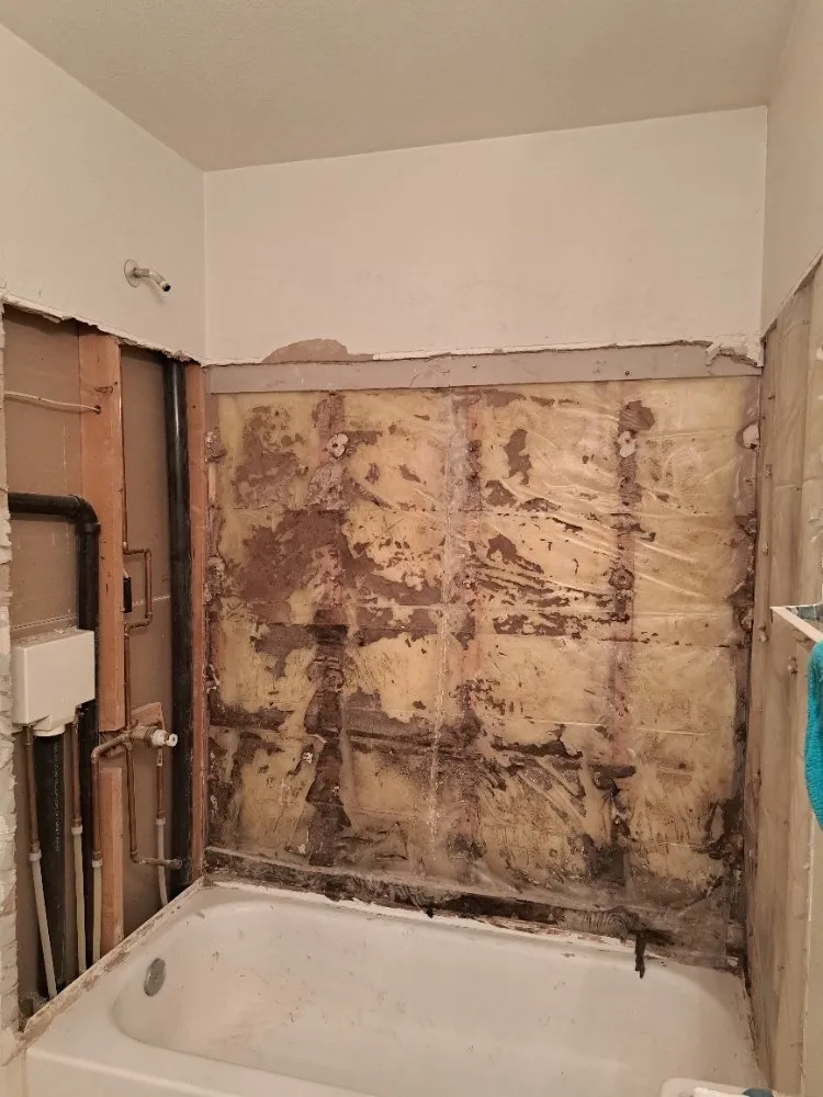 Local yard maintenance near you in Colorado Springs, CO by Divine Universal Service’s