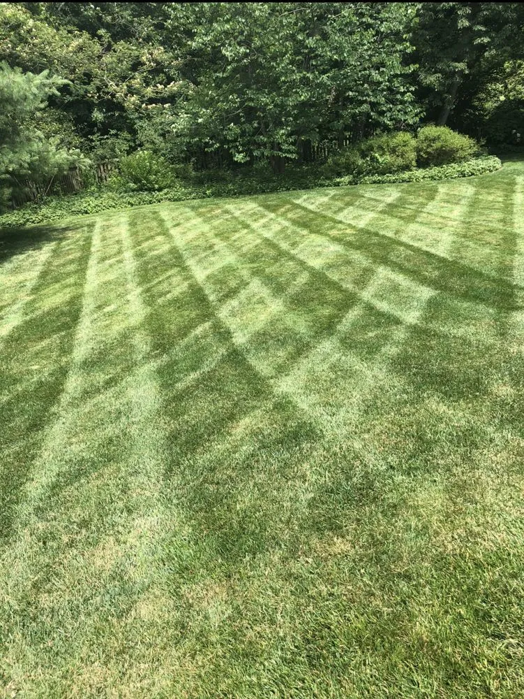Custom lawn mowing service in Fairfax, VA by Divine view landscaping