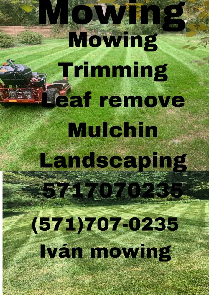 Trusted outdoor landscaping experts serving Fairfax, VA - Divine view landscaping