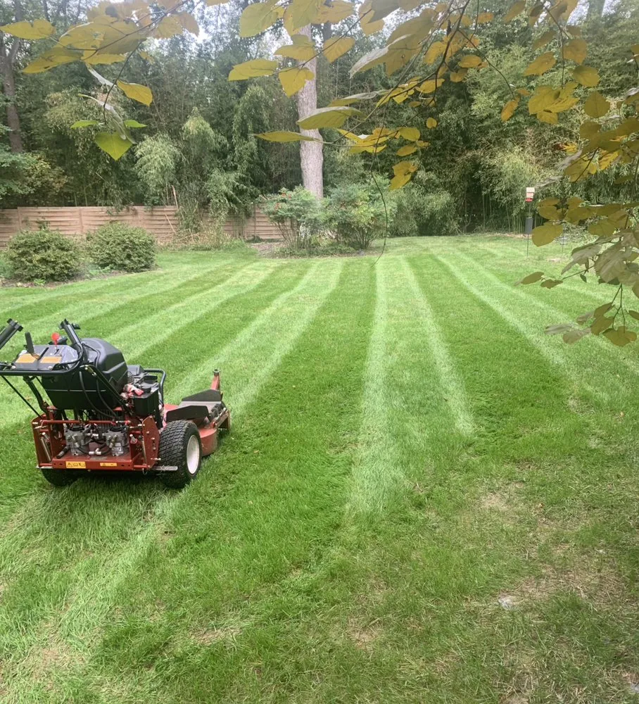 Trusted residential landscaping in Fairfax, VA - Divine view landscaping