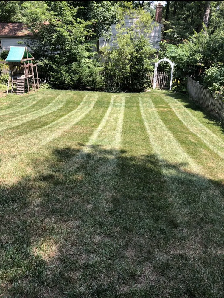 Professional yard maintenance for homes across Fairfax, VA - Divine view landscaping