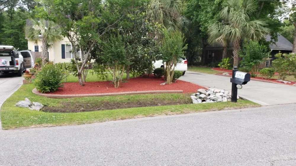 Trusted landscaping services experts serving Wadmalaw Island, SC - Divine Vision Landscaping