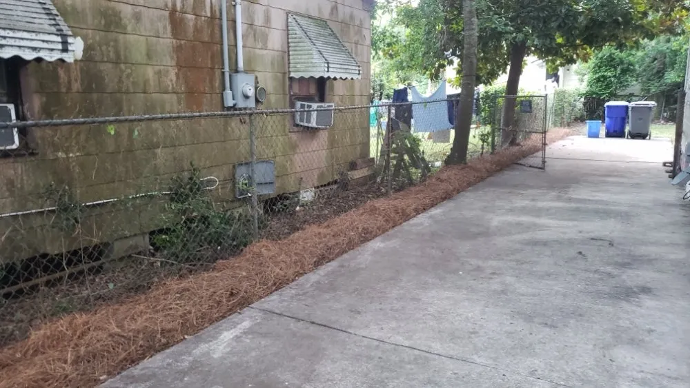 Local outdoor landscaping experts serving Wadmalaw Island, SC - Divine Vision Landscaping