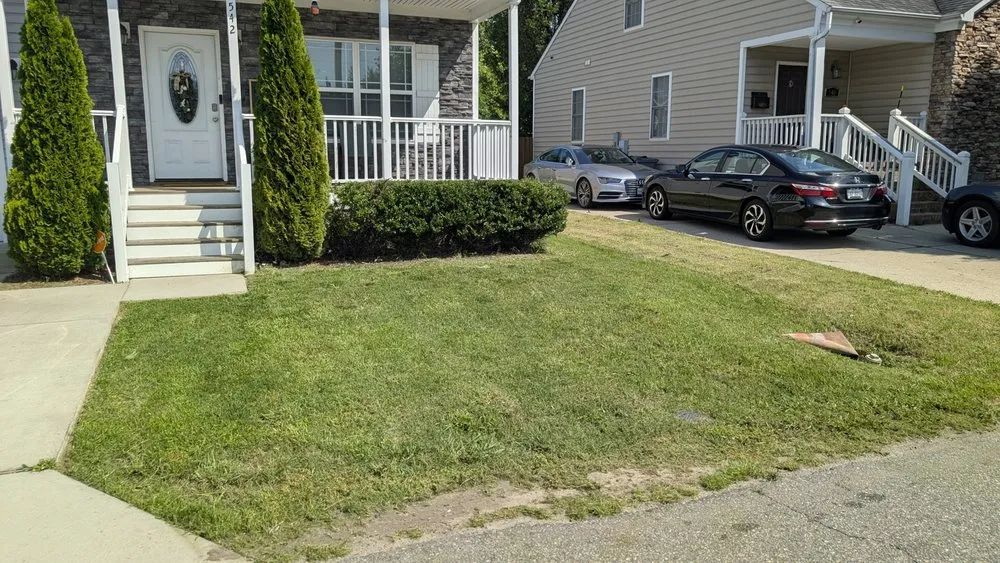 Professional lawn mowing service experts serving Norfolk, VA - Divine Works