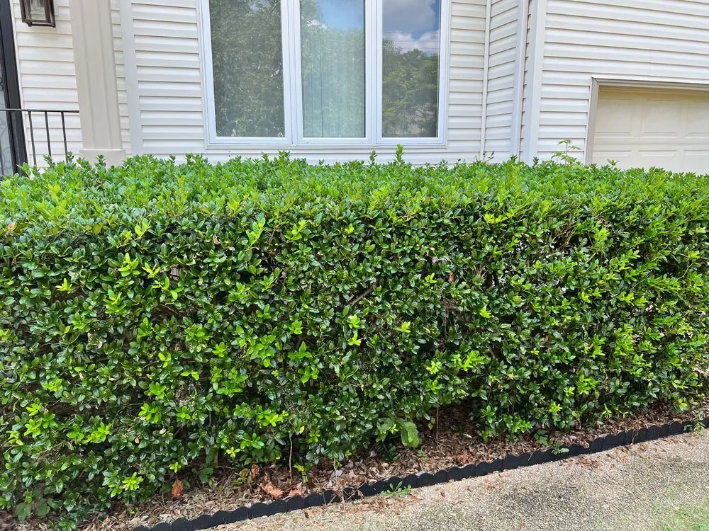 Custom landscape installation in Norfolk, VA - Divine Works