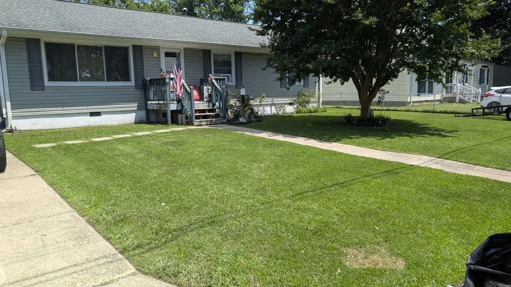 Reliable lawn care service for residential properties across Norfolk, VA - Divine Works