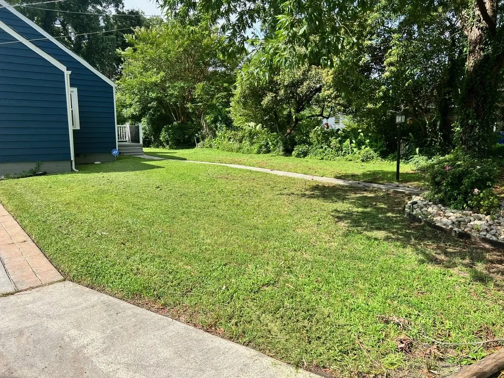 Affordable landscaping services in Norfolk, VA - Divine Works