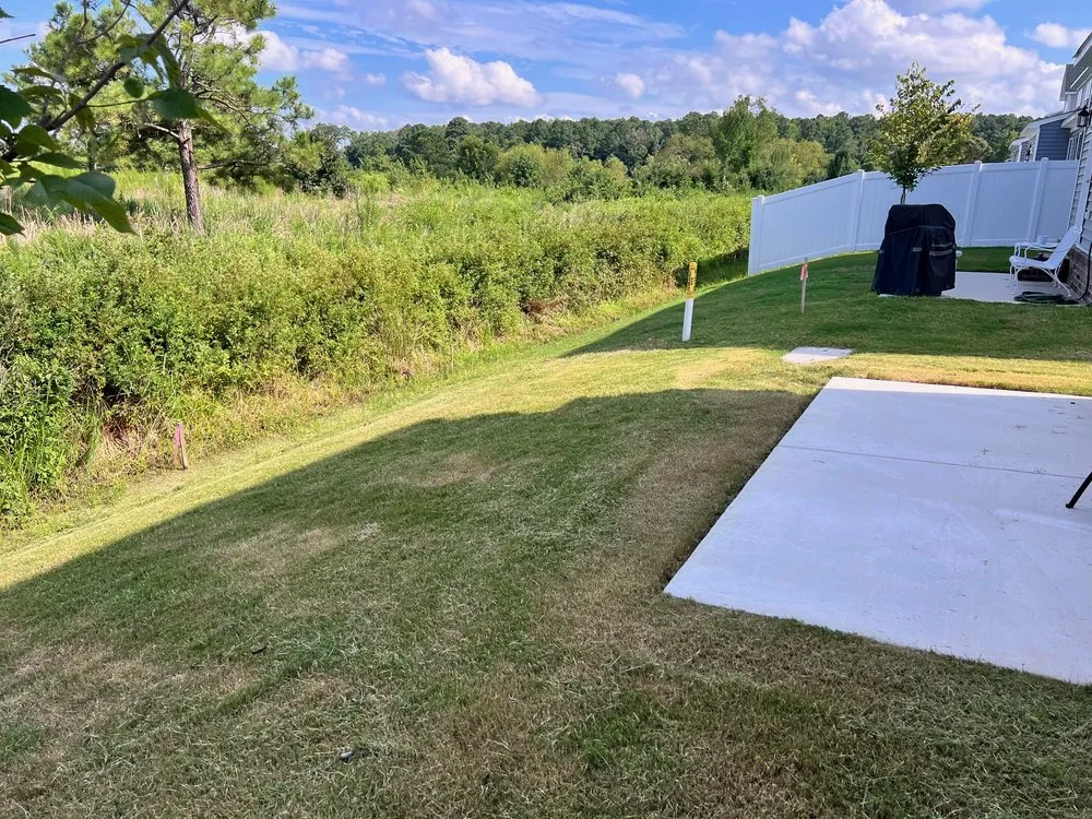 Affordable landscape design experts serving Norfolk, VA - Divine Works