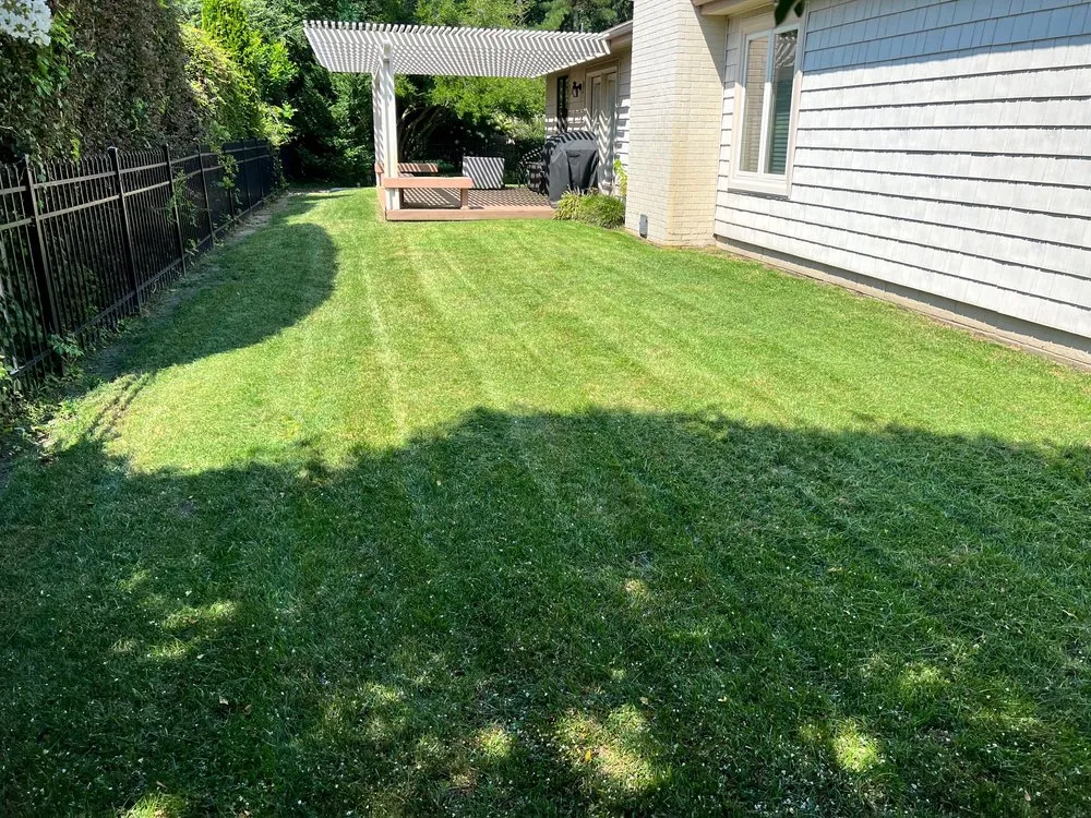 Professional outdoor landscaping in Norfolk, VA by Divine Works