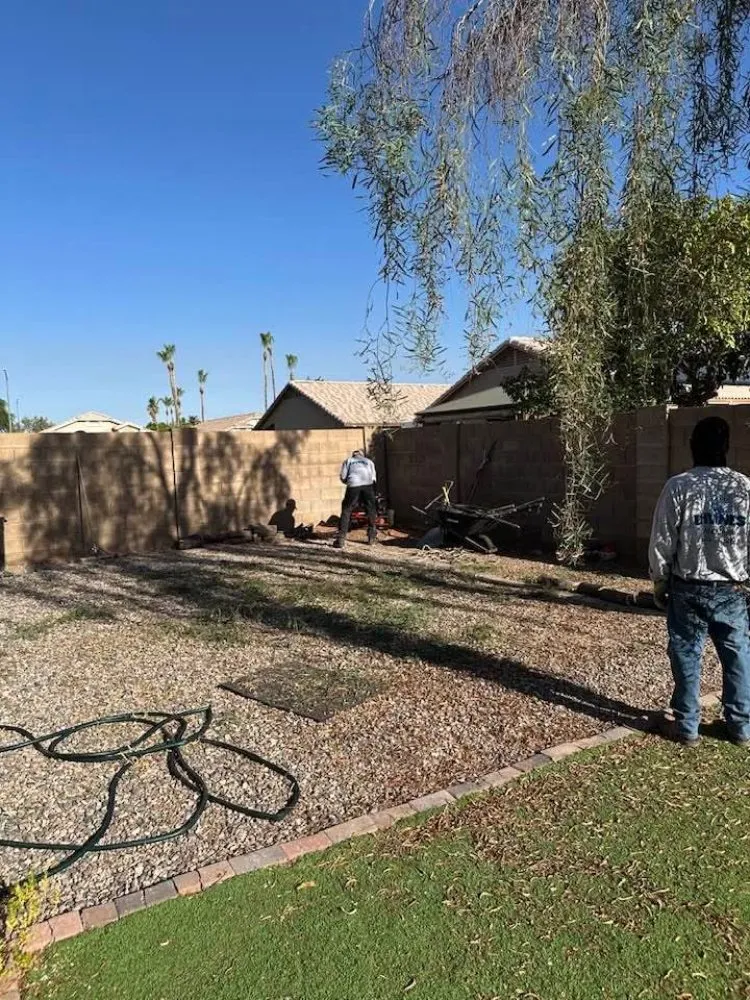 Local outdoor landscaping experts serving Surprise, AZ - Divine's landscaping