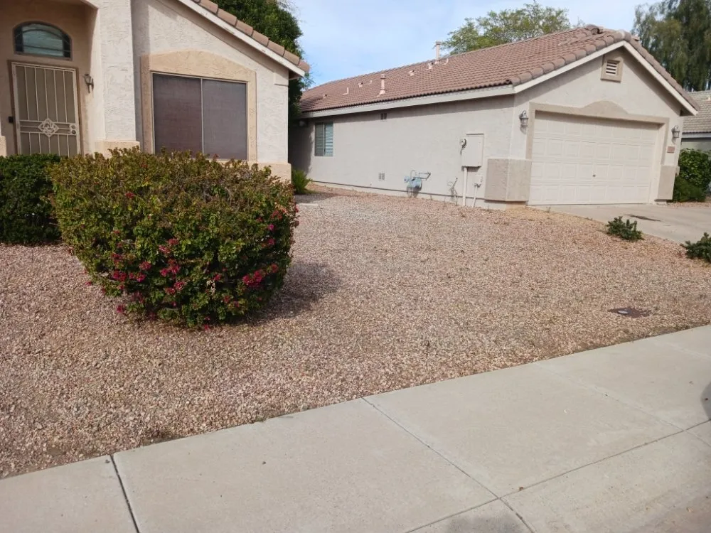 Expert lawn care service in Surprise, AZ by Divine's landscaping
