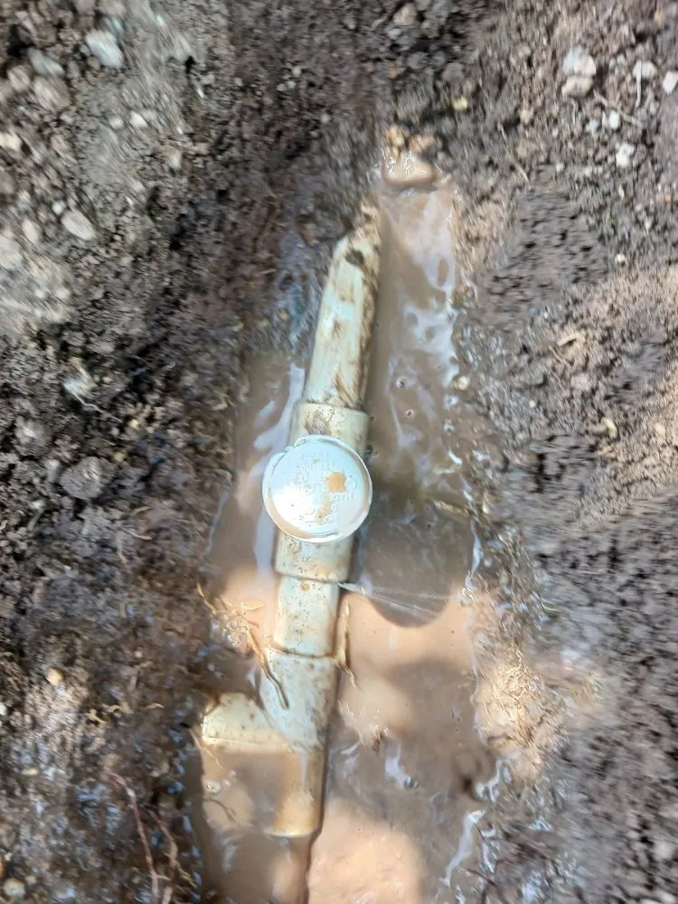 Local garden landscaping experts serving Surprise, AZ - Divine's landscaping