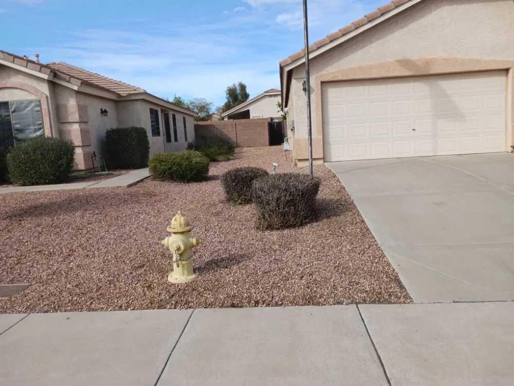 Custom residential landscaping in Surprise, AZ - Divine's landscaping