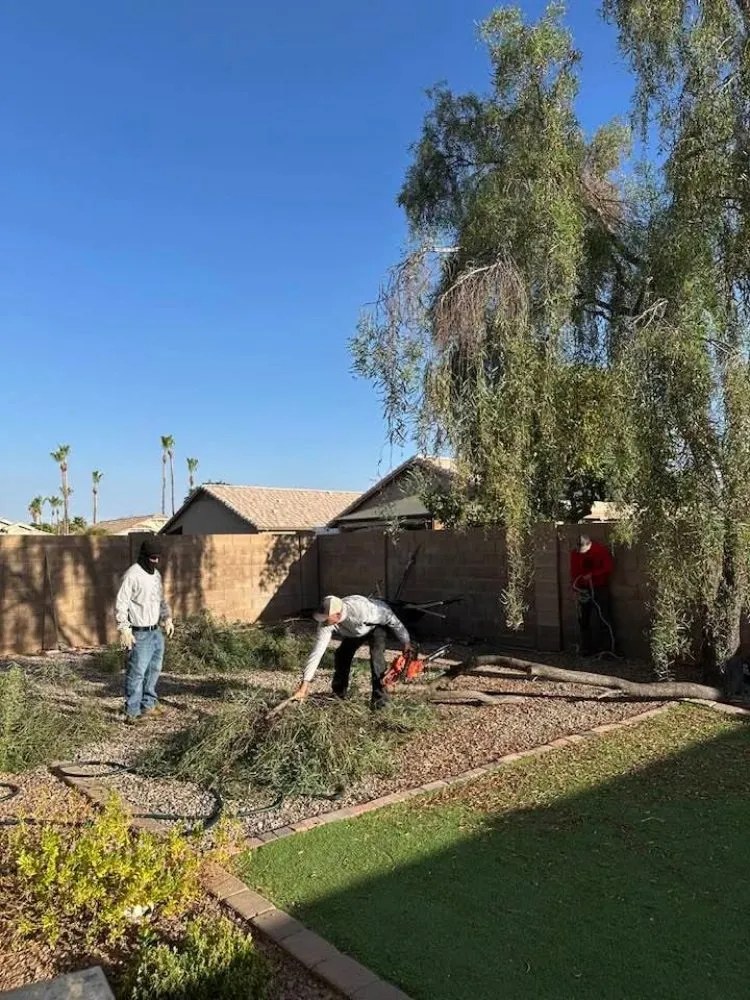 Custom residential landscaping experts serving Surprise, AZ - Divine's landscaping