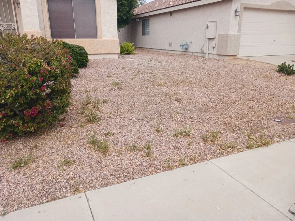 Expert landscape installation in Surprise, AZ by Divine's landscaping