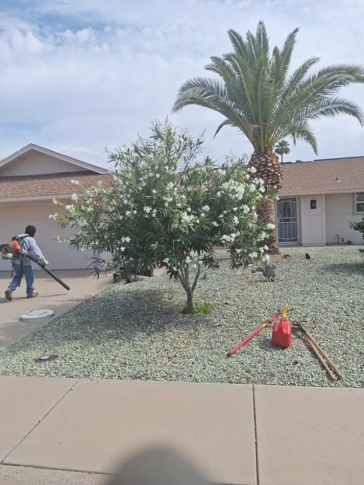 Top-rated landscape installation experts serving Surprise, AZ - Divine's landscaping