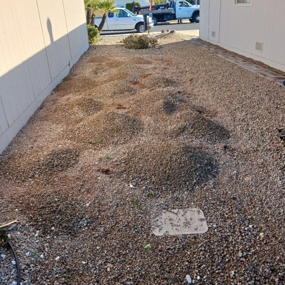 Local lawn mowing service in Surprise, AZ by Divine's landscaping