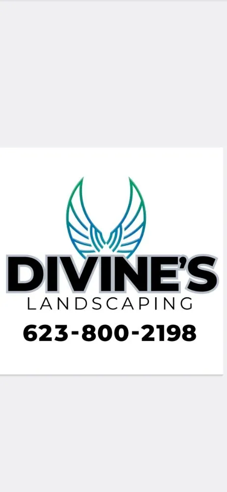 Trusted outdoor landscaping with custom design in Surprise, AZ by Divine's landscaping