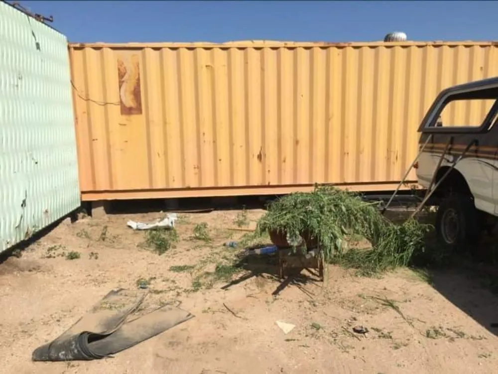 Expert garden landscaping in Tucson, AZ - Divinity Kleaners