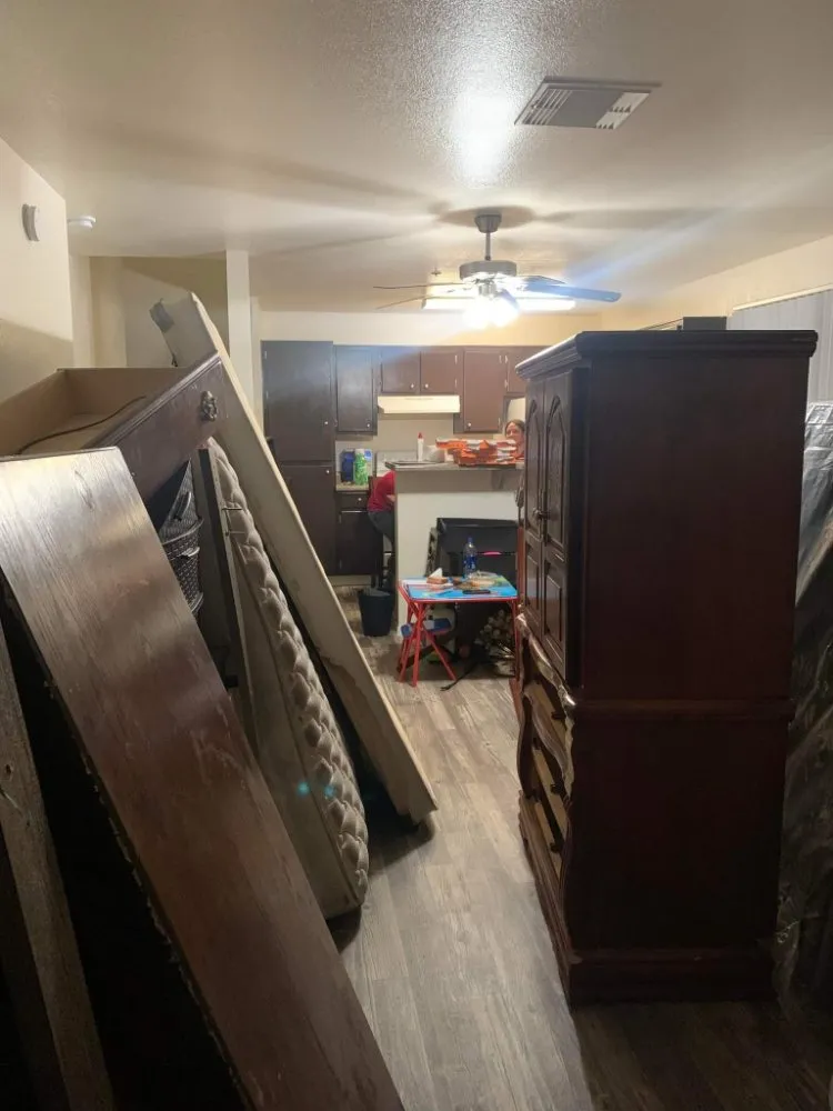 Custom yard cleanup service in Tucson, AZ - Divinity Kleaners