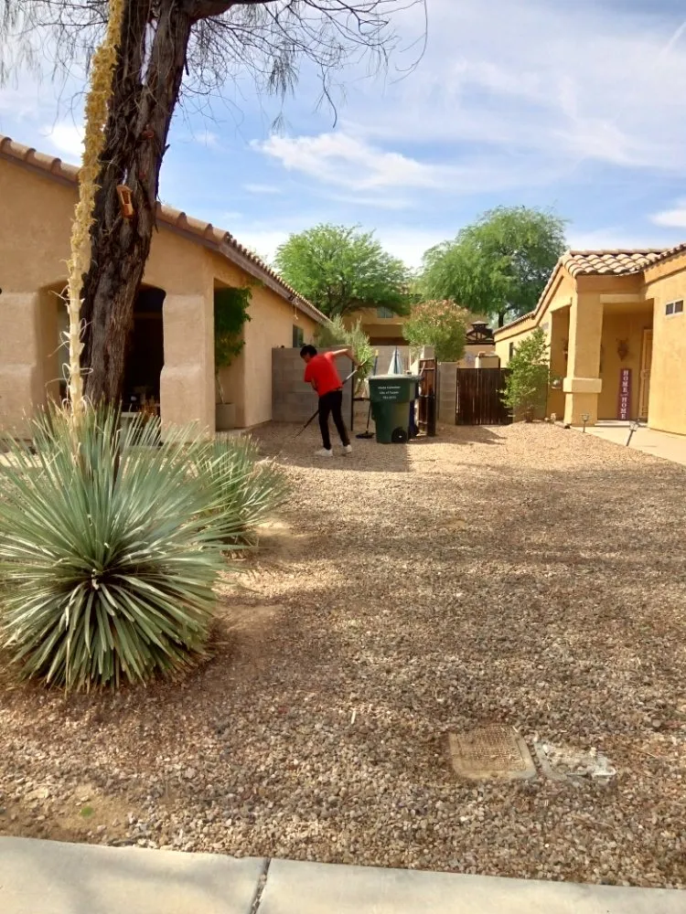 Expert yard cleanup service in Tucson, AZ by Divinity Kleaners
