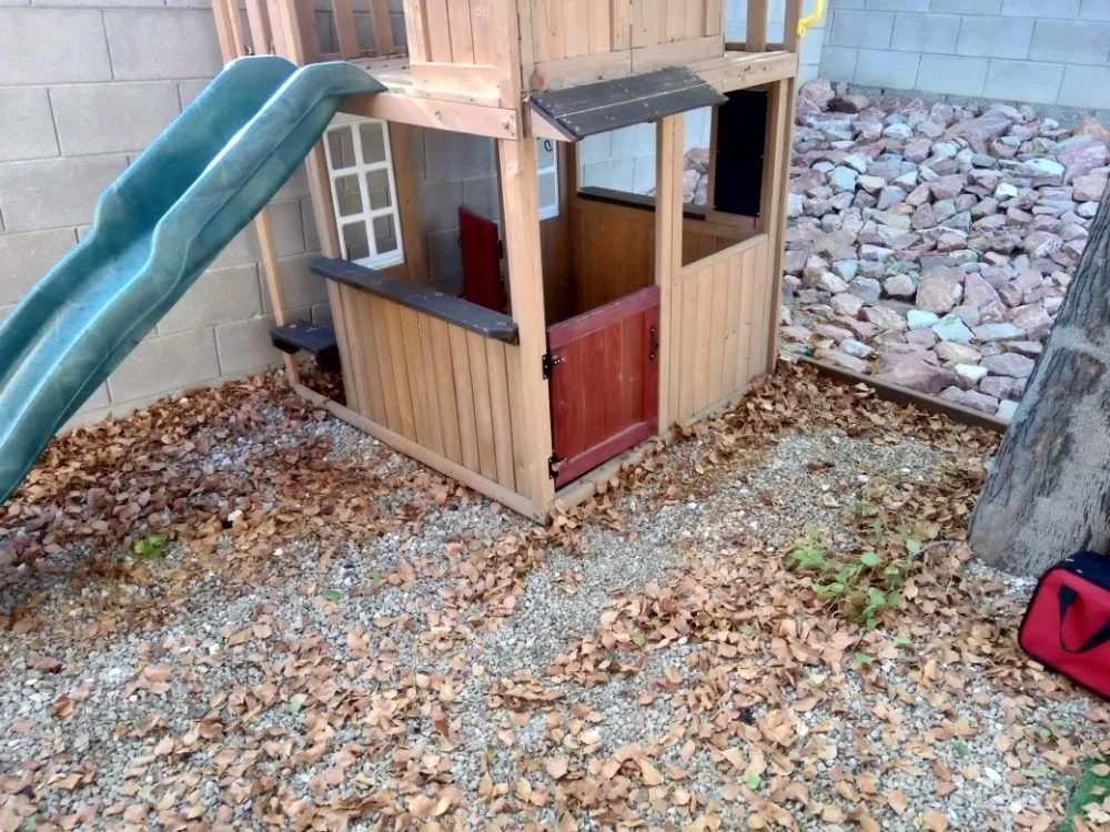 Top-rated landscaping services in Tucson, AZ by Divinity Kleaners