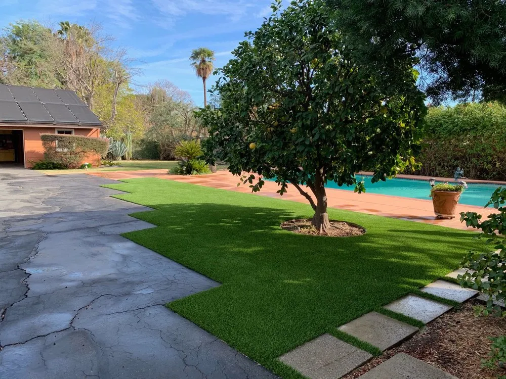 Expert lawn care service in Los Angeles, CA - Division 1 Landscapes