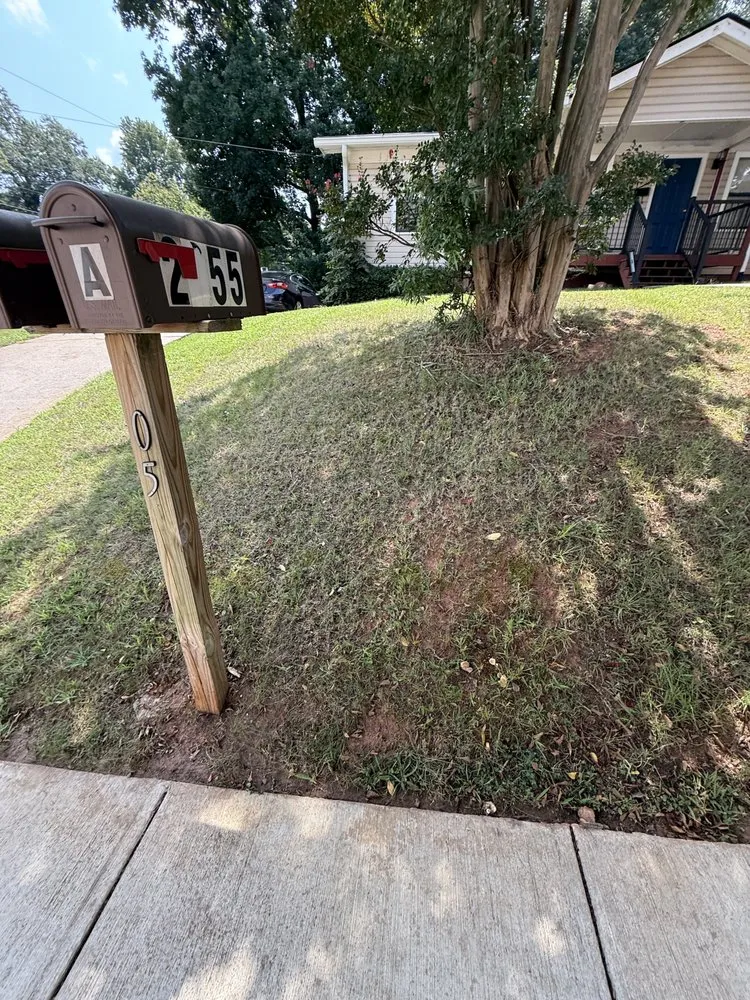 Top-rated landscape installation for year-round maintenance in College Park, GA by Division Landscaping